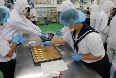 クッキー製造体験