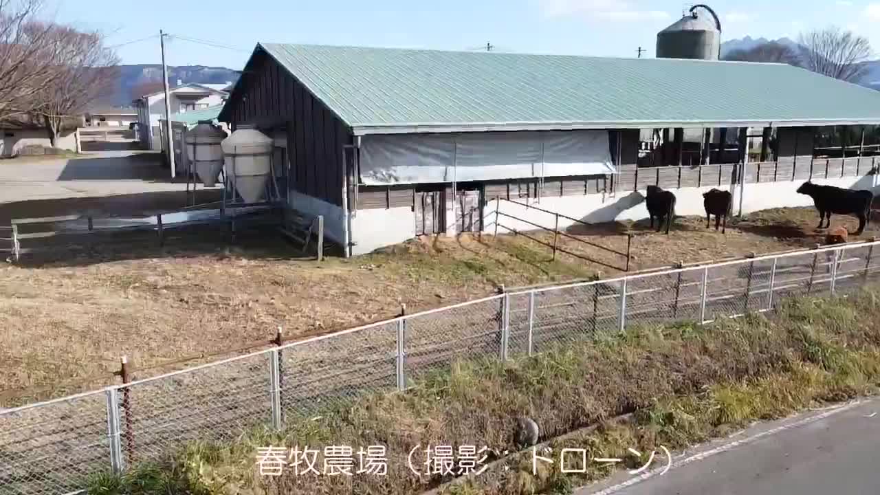 春牧農場（撮影：ドローン）