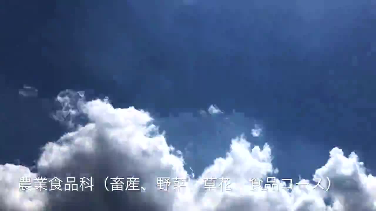 春牧農場の紹介です