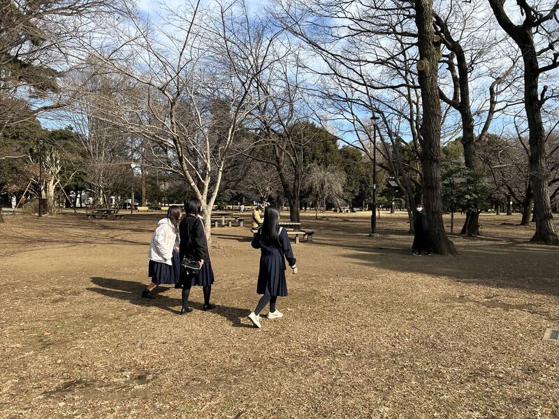井の頭公園でだるまさんがころんだをしています