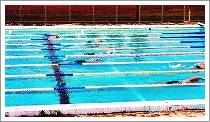 令和２年６月４日水泳部の練習風景