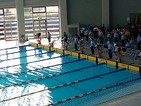 水泳部大会の様子