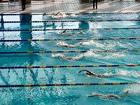 水泳部大会の様子