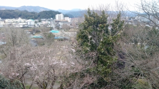 人吉城三の丸で運動する水泳部