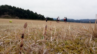 人吉城三の丸で運動する水泳部
