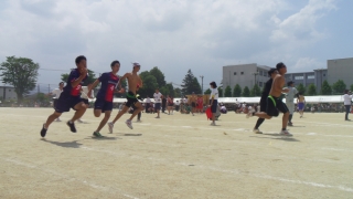 体育祭での水泳部