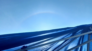 人吉高校水泳部（日暈）