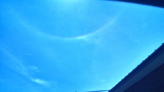 人吉高校水泳部（日暈）