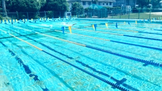 人吉高校水泳部（日暈）