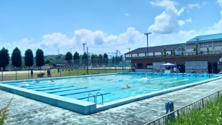 水泳部7月6日の様子