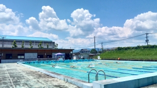 水泳部7月6日の様子