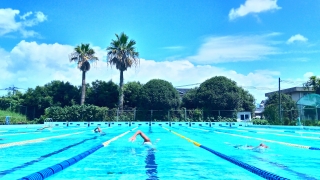 水泳部活動の様子