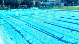 水泳部活動の様子