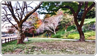 人吉高校水泳部人吉城址紅葉