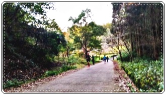 人吉高校水泳部人吉城址紅葉