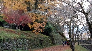 水泳部人吉城址18h301113