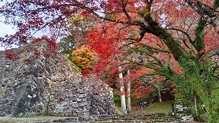 水泳部人吉城址18h301113