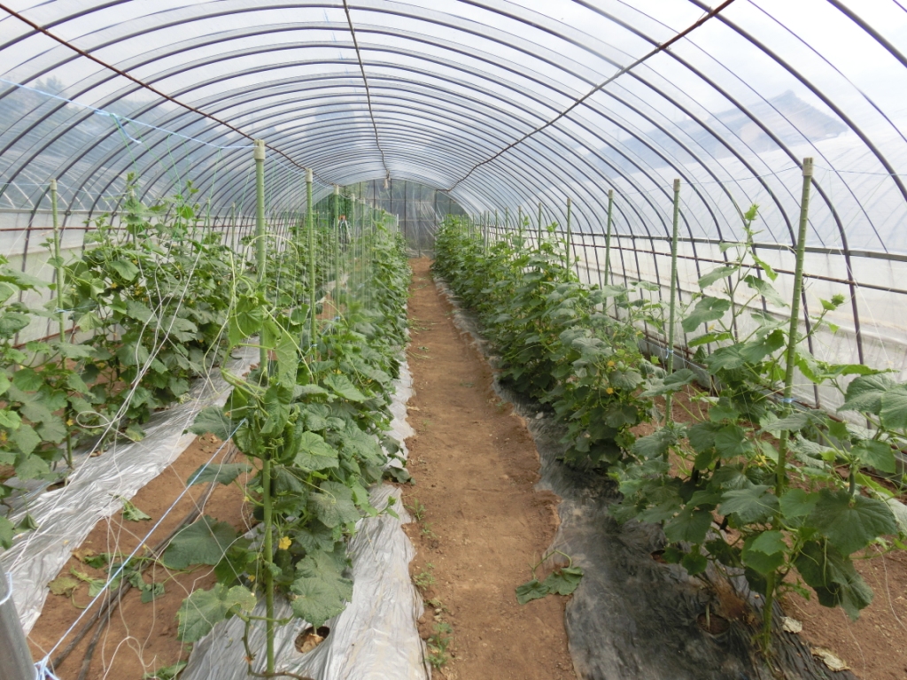 北稜高等学校画像