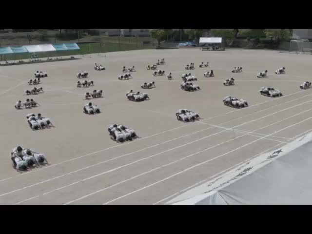 動画コンテンツ（テスト）