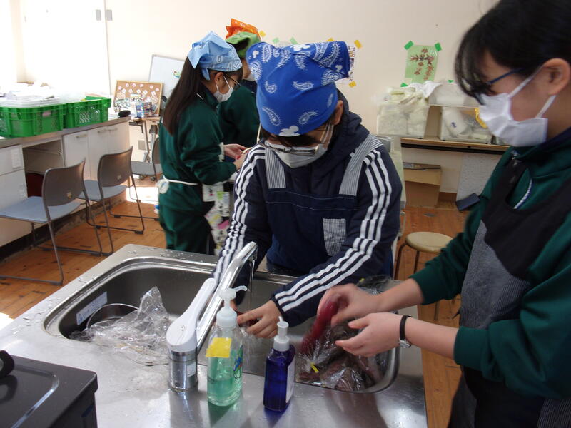 サツマイモを洗っています