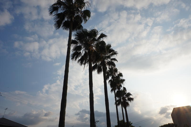 タイトル「休暇」（撮影者：渡邉喜陽）