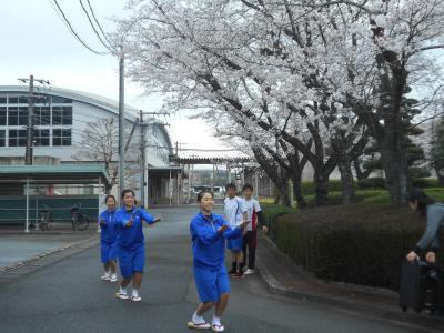 桜下での道行き