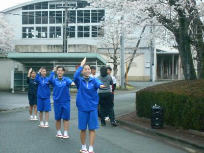 桜の下での道行き