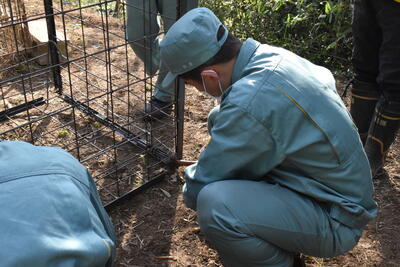 写真３　アンカーを打っているところ