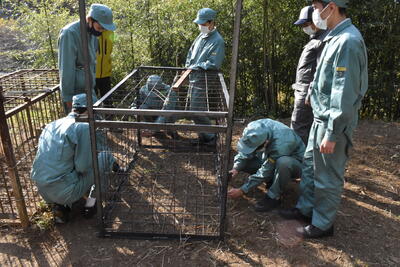 写真４　アンカーを打っているところ