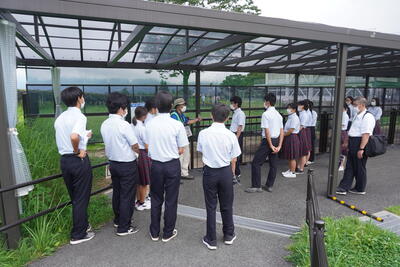 震災ミュージアム・東海大学