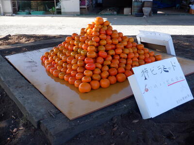 柿のピラミッド