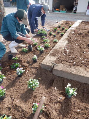 花壇整備