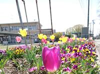 運動場横には明るい花壇！