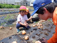 近くからの様子