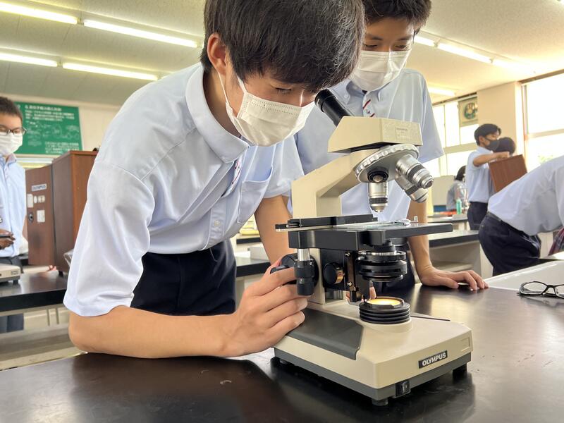 酵母は見れたかな？？