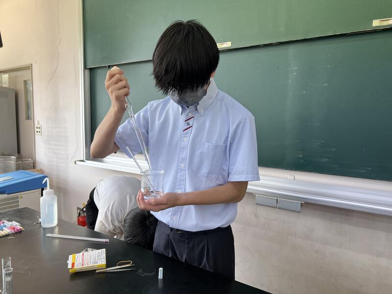 観察用の試料は代表の生徒が作成してくれました