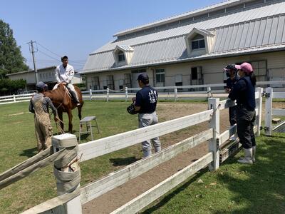 乗馬指導