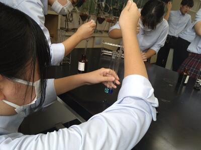 フェーリング液が入ると青色になりました