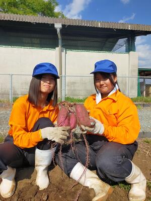 紅はるかと園芸科１年生女子