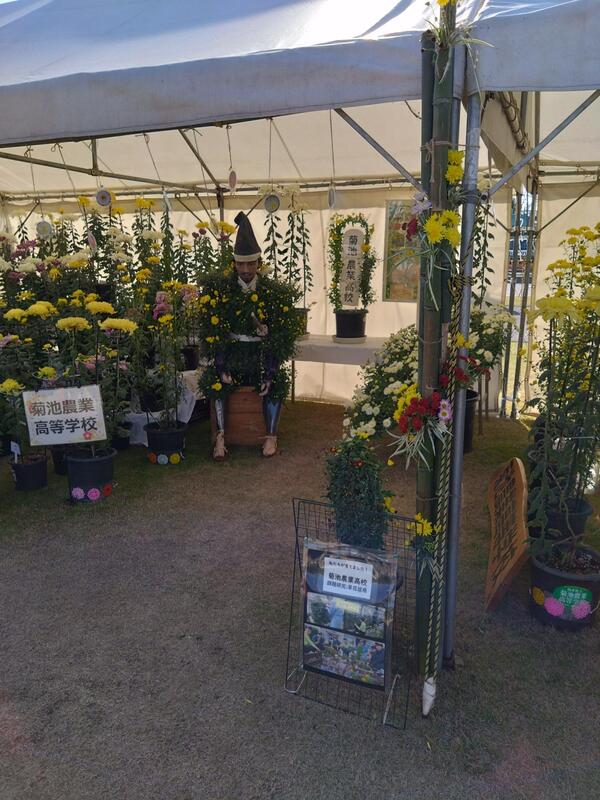 菊まつりの様子