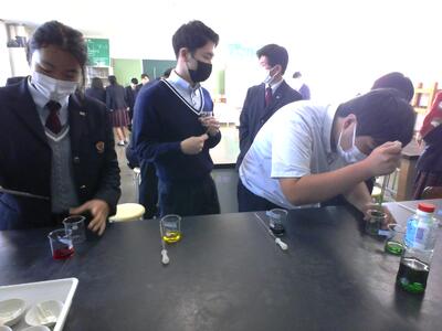 調べる色素を選び採取する