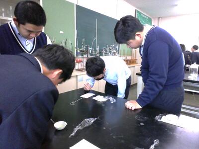 ろ紙にスポットしていく