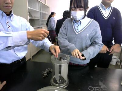 慎重に展開槽に入れていきます