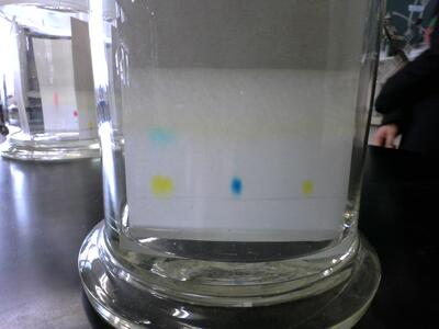 緑のシロップは２色になりました