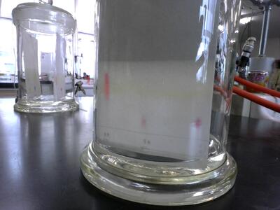 赤シロップにも変化が