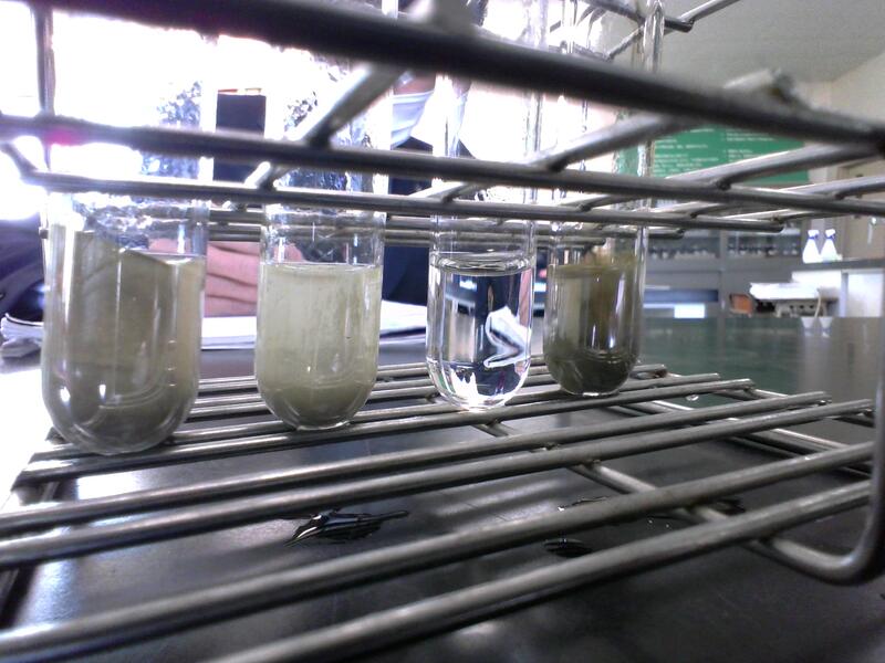 スクロース以外は銀が生成されました