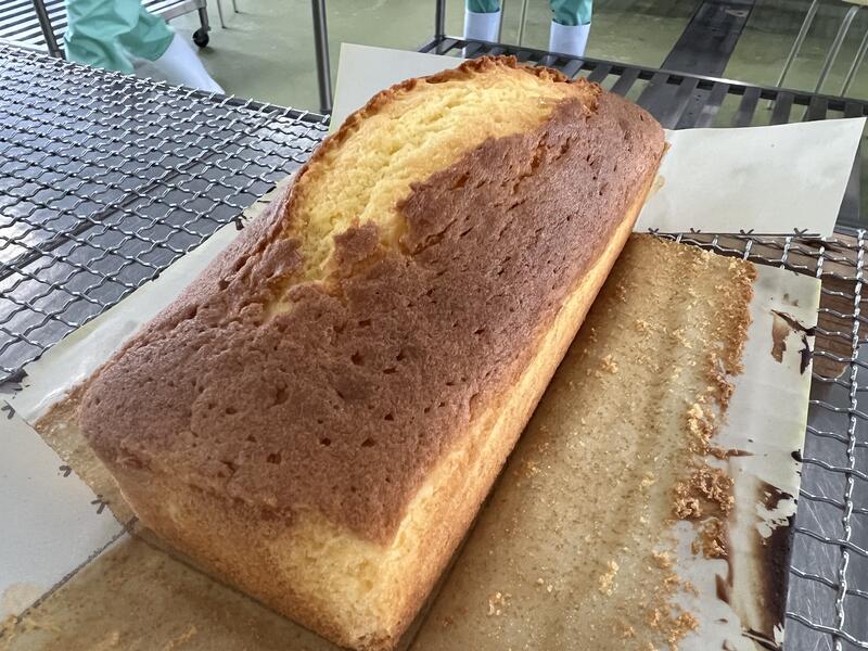 しっかり膨らみました！