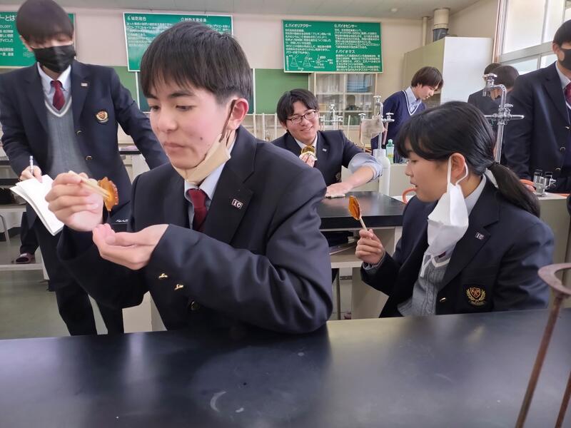 おいしくいただきました