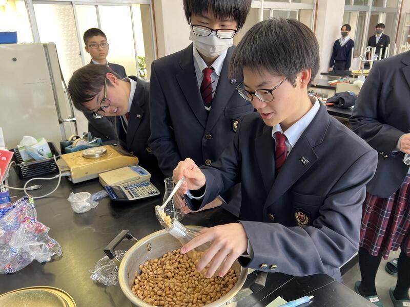 三角フラスコに煮豆を入れる