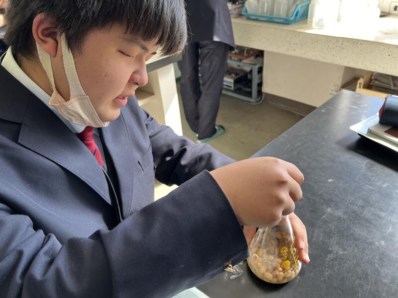 ２週間後、粘り気を確認